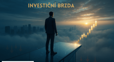 Strach z rizika je nejdrazsi investicni brzda